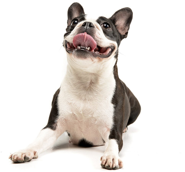 home-12-image-1